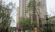 碧桂园爆料最新消息碧桂园凤凰城,打造宜居新标杆”